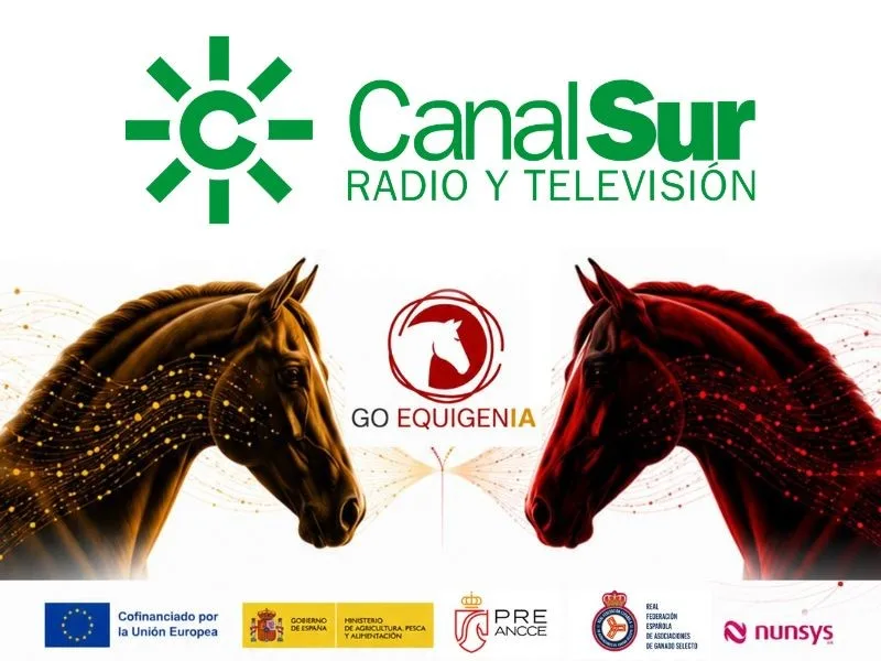 ANCCE, protagonista este domingo en Canal Sur con el proyecto EquigenIA